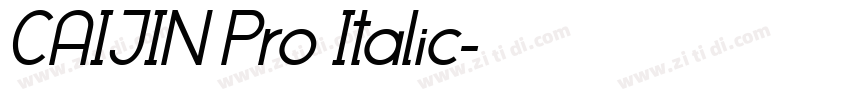 CAIJIN Pro Italic字体转换